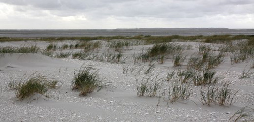 neue-nordsee-insel