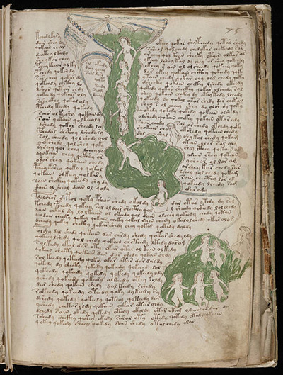 voynich-manuskript-anatomie