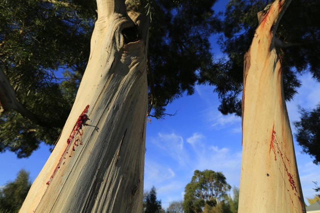 australien-weltkulturerbe