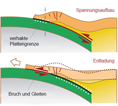 bild3