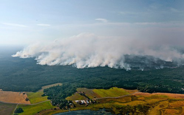 waldbrand-schweden