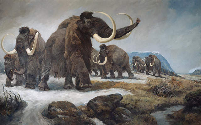 mammut-klonen
