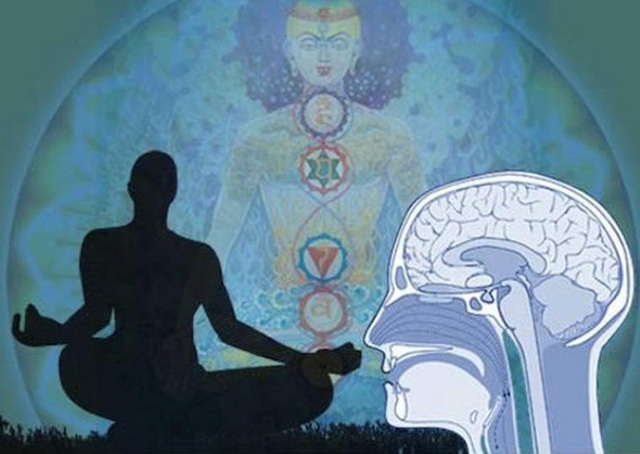 meditation-gesundheit-gehirn