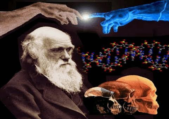 darwin-evolution-irrtum
