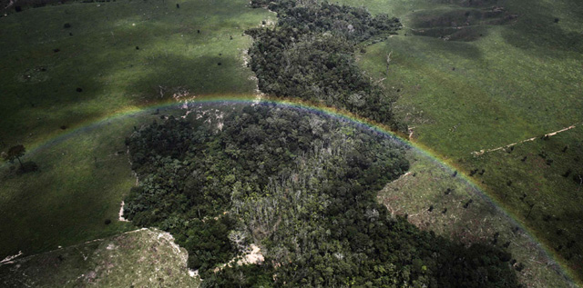 abholzung-amazonas
