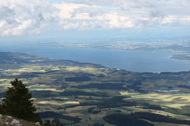 bild2