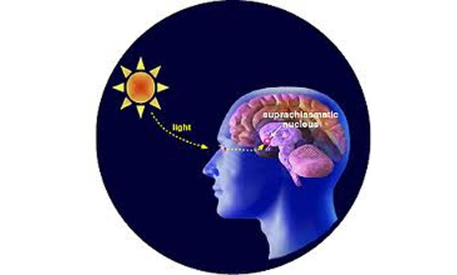 sungazing