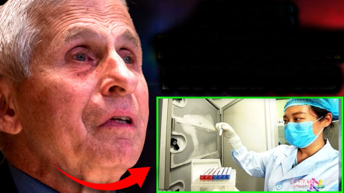 Virologe aus Wuhan bezeugt, Fauci habe COVID als „Biowaffe zum Tod von Millionen“ entwickelt -